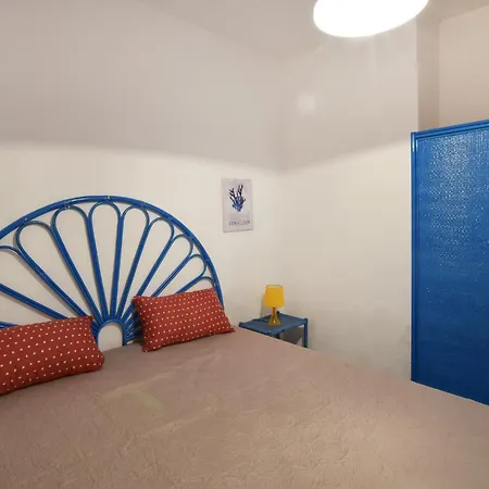 Pet Friendly In Apartmán